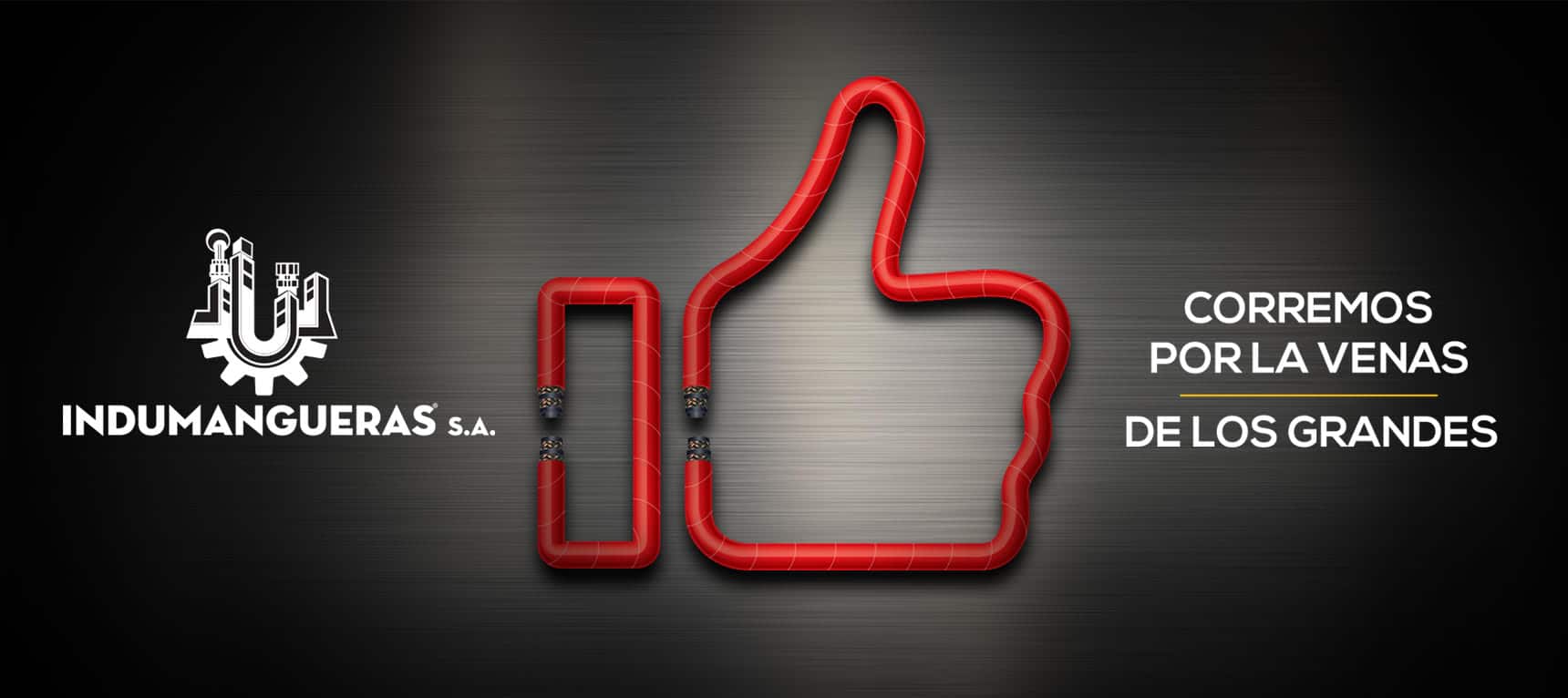 Corremos por las venas